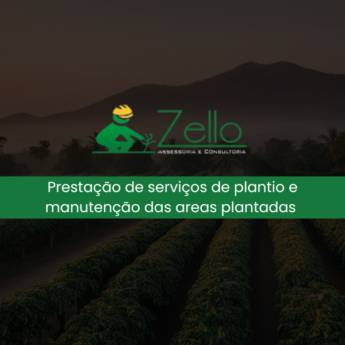 Comprar o produto de Prestação de serviços de plantio e manutenção das áreas plantadas  em Consultoria Ambiental em Itapetininga, SP por Solutudo