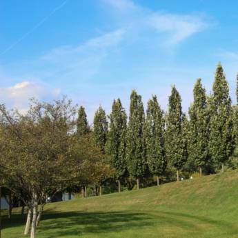 Comprar o produto de Assessoria Ambiental Contínua em Serviços Ambientais em Bauru, SP por Solutudo