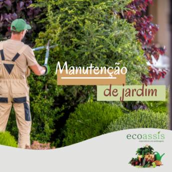 Comprar o produto de Manutenção de jardim  em Jardinagem pela empresa EcoAssis  em Cândido Mota, SP por Solutudo