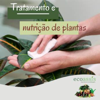 Comprar o produto de Tratamento e nutrição de plantas  em Jardinagem pela empresa EcoAssis  em Cândido Mota, SP por Solutudo