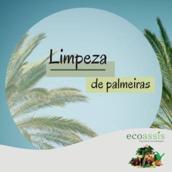 Comprar o produto de Limpeza de Palmeiras em Jardinagem pela empresa EcoAssis  em Cândido Mota, SP por Solutudo