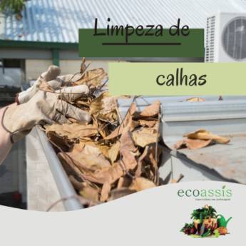 Comprar o produto de Limpeza de calhas em Limpeza de Calhas pela empresa EcoAssis  em Cândido Mota, SP por Solutudo