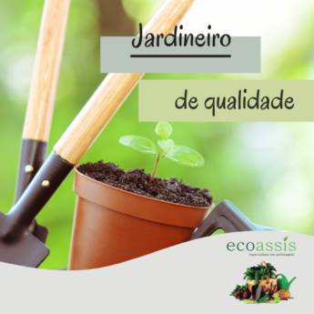 Comprar o produto de Jardineiro em Assis em Jardinagem pela empresa EcoAssis  em Cândido Mota, SP por Solutudo