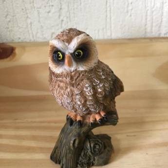 Comprar o produto de Coruja resina em Decoração em São Carlos, SP por Solutudo