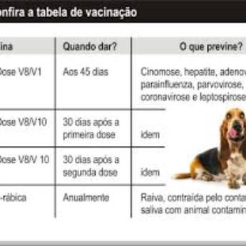 Comprar o produto de Vacina para cachorro em Veterinário em Americana, SP por Solutudo