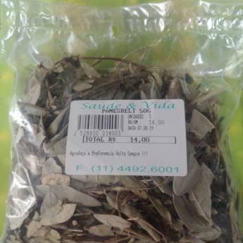 Comprar o produto de Panesbelt em A Classificar em Jundiaí, SP por Solutudo