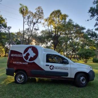 Veterinário a Domicílio em Avaré