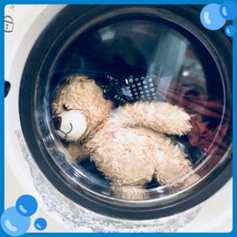 Comprar o produto de Lavar Urso de Pelúcia em Lavanderia em Foz do Iguaçu, PR por Solutudo