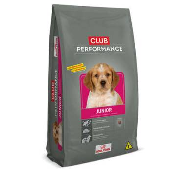 Comprar o produto de CLUB PERFORMANCE JUNIOR em Outros em Barra Bonita, SP por Solutudo