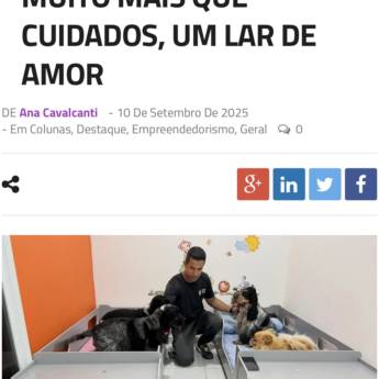 Comprar o produto de Hotel para cães  em Hoteis para Cães em Pinhais, PR por Solutudo
