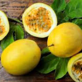 Comprar o produto de Maracujá em Alimentos em Jundiaí, SP por Solutudo