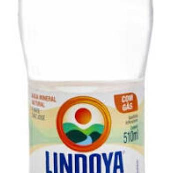 Comprar o produto de Agua com gas Lindoya 500 Ml em A Classificar em Bauru, SP por Solutudo