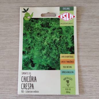 Comprar o produto de semente chicória crespa   em A Classificar pela empresa Botucatu Garden em Botucatu, SP por Solutudo
