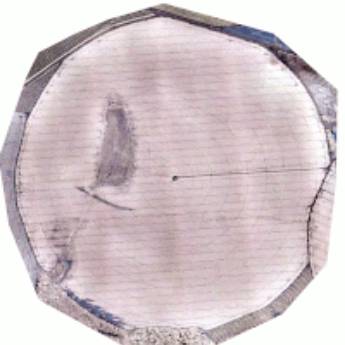 Comprar o produto de Densidade de Plantio em Consultoria em Botucatu, SP por Solutudo