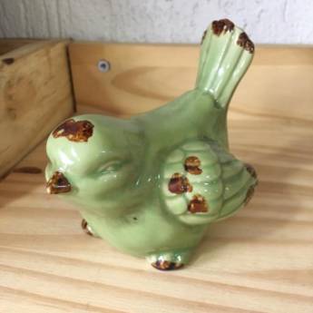 Comprar o produto de Pássaro Verde em Decoração em São Carlos, SP por Solutudo