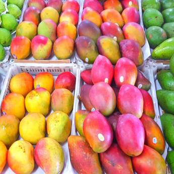 Comprar o produto de frutas em A Classificar em Boituva, SP por Solutudo