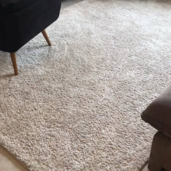 Comprar o produto de Tapete Anti Mofo  em Cortinas - Persianas - Carpetes em Americana, SP por Solutudo