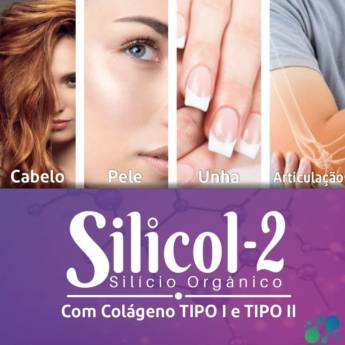 Comprar o produto de Silicol 2 200mg 30 cápsulas em Cuidados com a Pele pela empresa Farmalu - Farmácia de Manipulação em Atibaia, SP por Solutudo