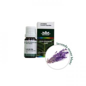 Comprar o produto de ÓLEO ESSENCIAL DE LAVANDA em Outros em Assis, SP por Solutudo
