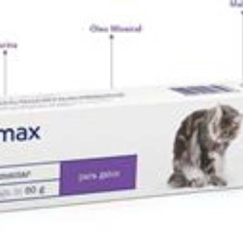 Comprar o produto de Maltemax para Gatos em A Classificar em Assis, SP por Solutudo