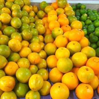 Comprar o produto de frutas em A Classificar em Boituva, SP por Solutudo