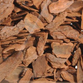 Comprar o produto de CASCAS DE PINUS  em Comércio em Assis, SP por Solutudo