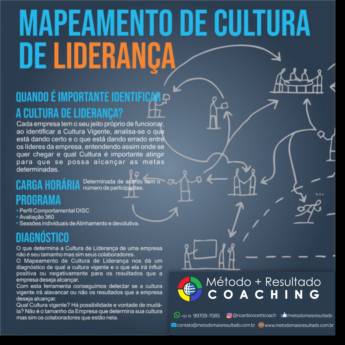 Comprar o produto de Mapeamento de Cultura de Lideranca em A Classificar em Americana, SP por Solutudo