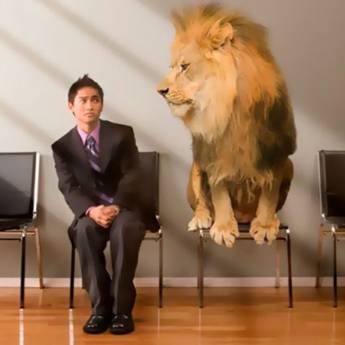 Comprar o produto de imposto de Renda Pessoa Fisica e Pessoa Juridica em Outros Serviços em Caraguatatuba, SP por Solutudo