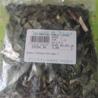 Comprar o produto de Espinheira santa em A Classificar em Jundiaí, SP por Solutudo