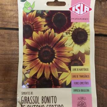 Comprar o produto de semente girassol bonito outono  em A Classificar pela empresa Botucatu Garden em Botucatu, SP por Solutudo