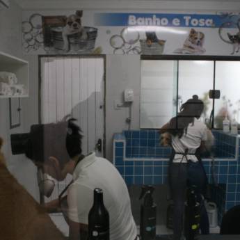 Comprar o produto de Banho e Tosa em Geral em Bauru em Veterinário em Bauru, SP por Solutudo