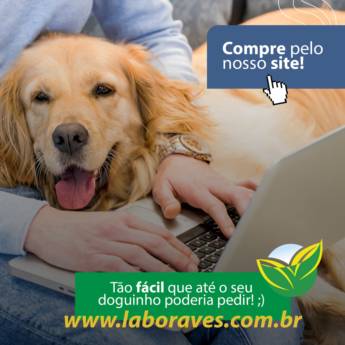 Comprar produto Ração Cachorro em A Classificar pela empresa Laboraves Supermercado Agropecuário em Amparo, SP