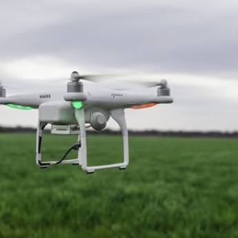Comprar o produto de Agricultura em Consultoria em Gestão de Negócios em Botucatu, SP por Solutudo