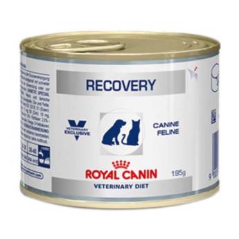 Comprar o produto de RECOVERY CANINE FELINE ROYAL CANIN em Outros em Barra Bonita, SP por Solutudo
