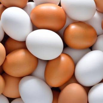 Comprar o produto de Adicional de ovo em Variedades em Americana, SP por Solutudo
