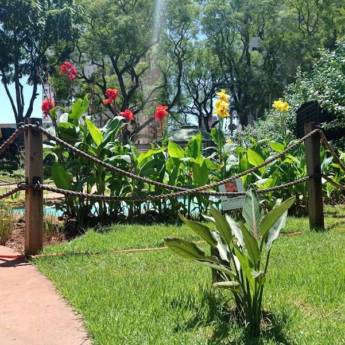 Comprar o produto de Manutenção de jardim em Jardinagem em Foz do Iguaçu, PR por Solutudo
