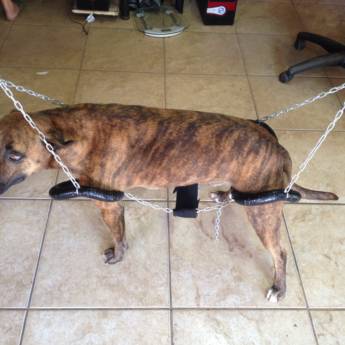 Comprar o produto de D4 COLOCAÇÃO RAJADO em A Classificar em Botucatu, SP por Solutudo