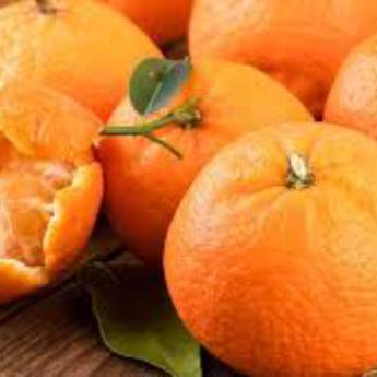 Comprar o produto de Mexerica em Alimentos em Jundiaí, SP por Solutudo