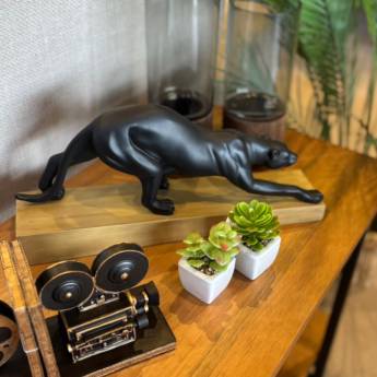 Comprar o produto de Produtos Decorativos em Decoração - Objeto para Decoração em Ninho Verde II Eco Residence, SP por Solutudo