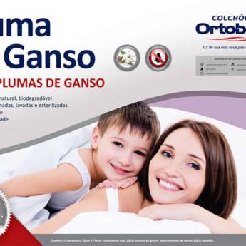 Comprar o produto de Travesseiro Pluma de Ganso em Travesseiros em Foz do Iguaçu, PR por Solutudo