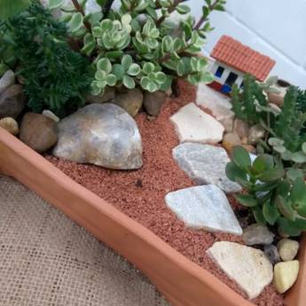 Comprar o produto de Arranjo mini jardim em vaso estilo bonsai em Peças Decorativas em Jundiaí, SP por Solutudo