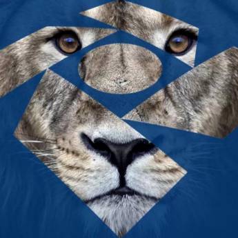 Comprar o produto de Imposto de Renda Pessoa Física - IRPJ em Outros Serviços em Botucatu, SP por Solutudo