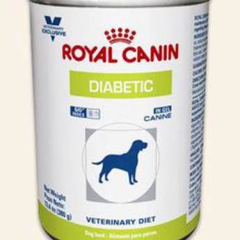 Comprar o produto de LATA DIABETC ROYAL CANIN em Outros em Barra Bonita, SP por Solutudo
