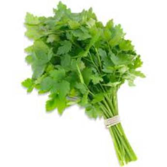 Comprar o produto de COENTRO MÇ em Hortifruti pela empresa JB Frutas e Legumes em São Paulo, SP por Solutudo