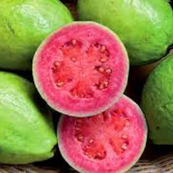 Comprar o produto de Goiaba em Alimentos em Jundiaí, SP por Solutudo