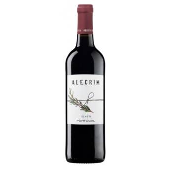 Comprar o produto de Vinho Alecrim Tinto- 750ml em Vinhos em Aracaju, SE por Solutudo