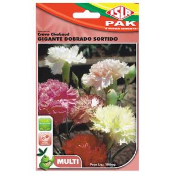 Comprar o produto de semente cravo chabaud gigante dobrado em A Classificar pela empresa Botucatu Garden em Botucatu, SP por Solutudo