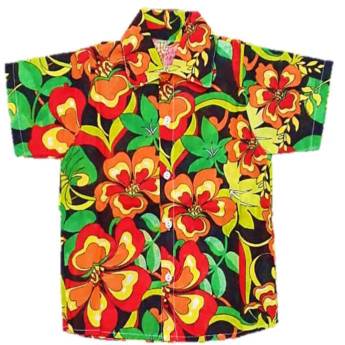 Comprar o produto de 2331 - Camisa florida bebê (tamanhos 2 e 6) em Fantasia Infantil Masculina em Tietê, SP por Solutudo