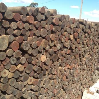 Comprar o produto de Eucalipto Tratado - Repique, Palanque, Mourão e Poste  em Diversos pela empresa Jatobá Madeiras Tratadas Avaré  em Avaré, SP por Solutudo