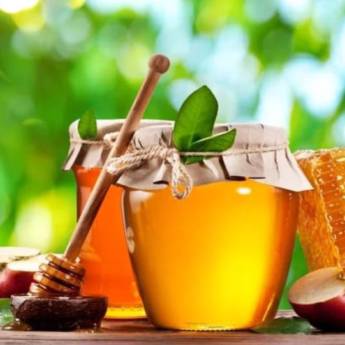 Comprar o produto de MEL SILVESTRE PURO DE ABELHAS 100 % ORGANICO em Mel em Itacaré, BA por Solutudo